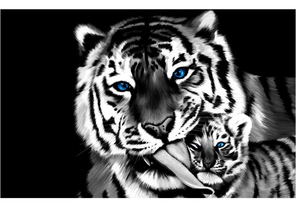 Canvas schilderij Tijger | Zwart | 140x90cm 1Luik