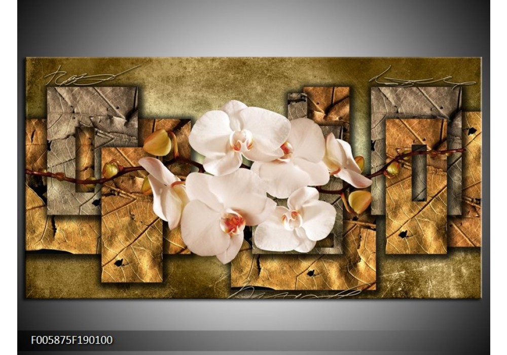 Canvas schilderij Orchidee | Bruin, Crème | 190x100cm