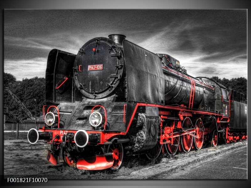 Foto canvas schilderij Trein | Rood, Wit