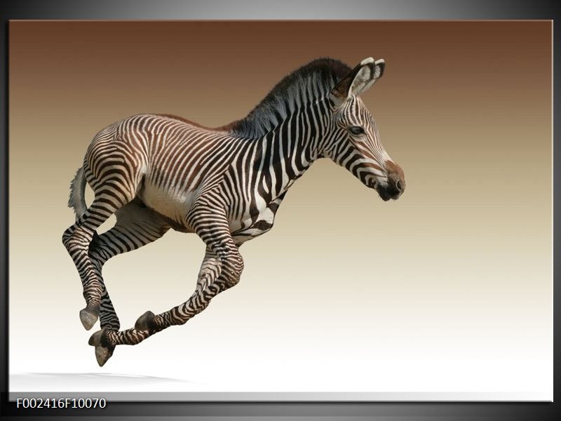 avond Factuur Pijler Glas schilderij Zebra | Zwart, Wit, Bruin | GroepArt