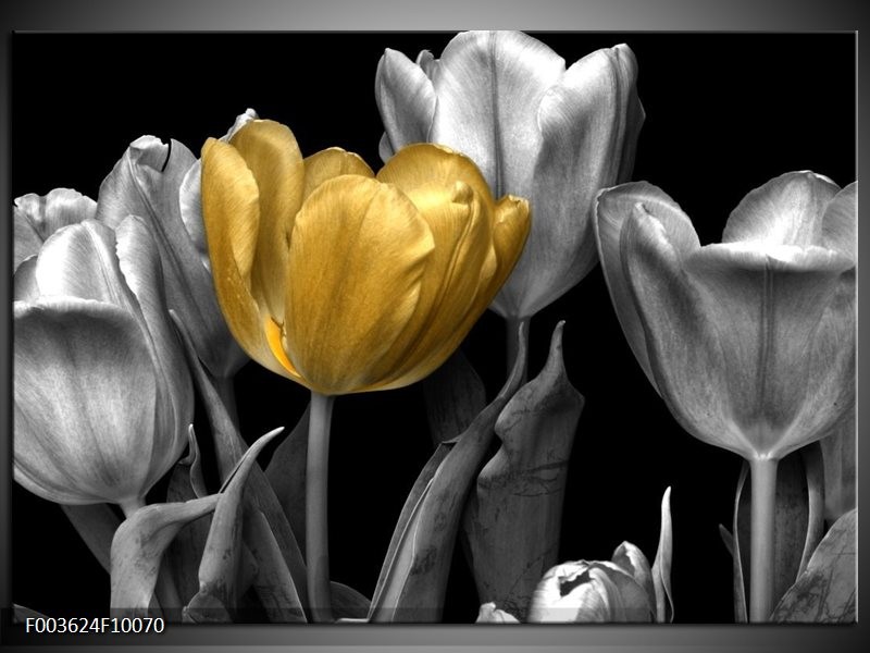 Foto canvas schilderij Tulp | Goud, Zilver,