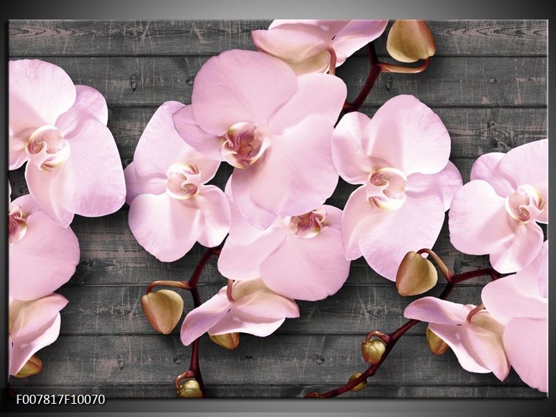 Economisch Frustratie een Canvas Schilderij Orchidee, Bloemen | Grijs, Roze