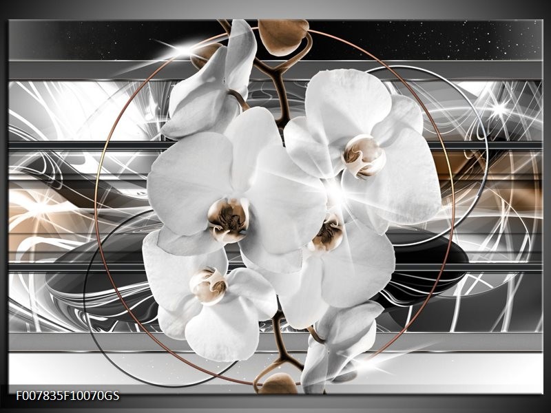 Opmerkelijk Aanvrager De daadwerkelijke Glas Schilderij Orchidee, Bloemen | Zilver, Wit