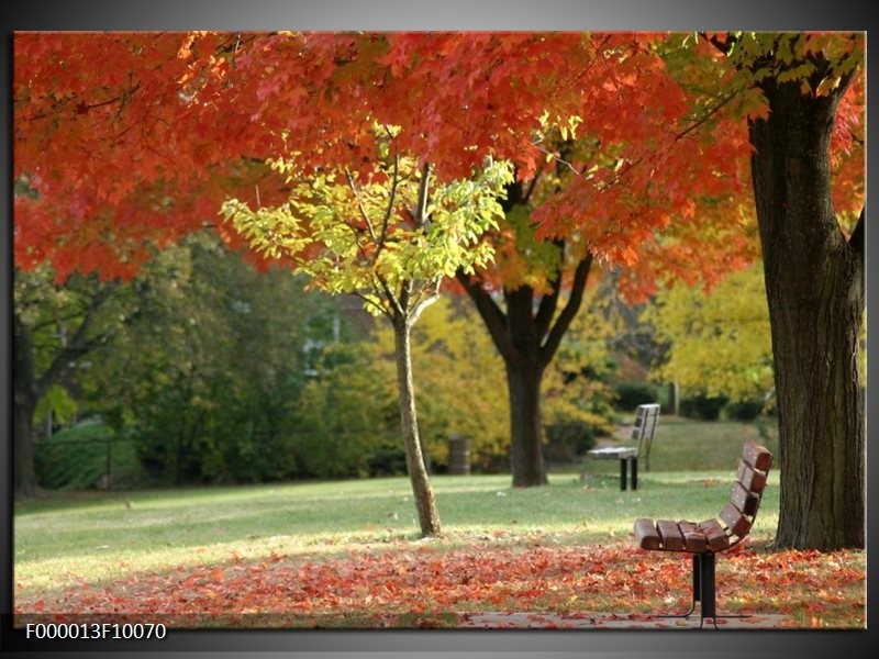 Foto canvas schilderij Park | Oranje, Geel, Groen