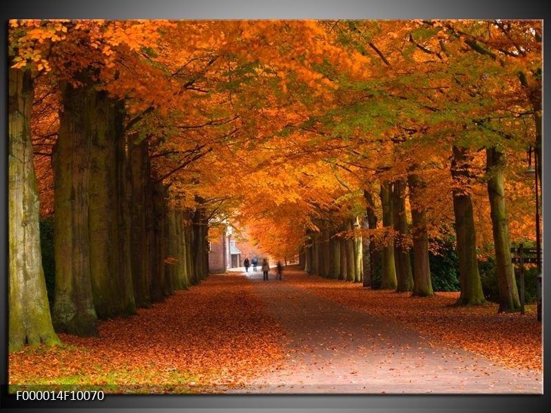 Foto canvas schilderij Herfst | Bruin, Oranje, Groen