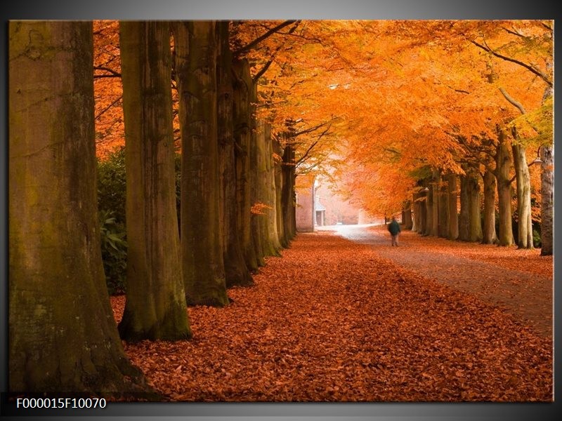 Foto canvas schilderij Herfst | Oranje, Bruin, Groen