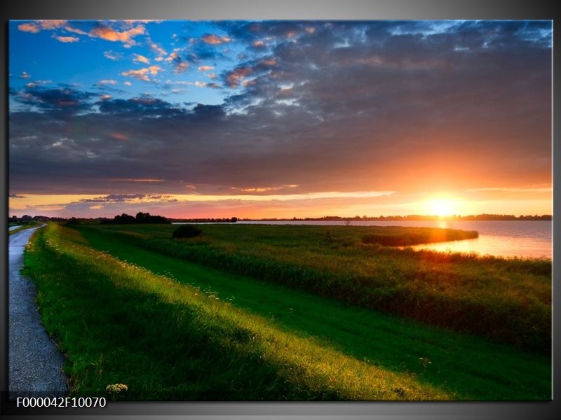 Foto canvas schilderij Gras | Groen, Geel, Blauw