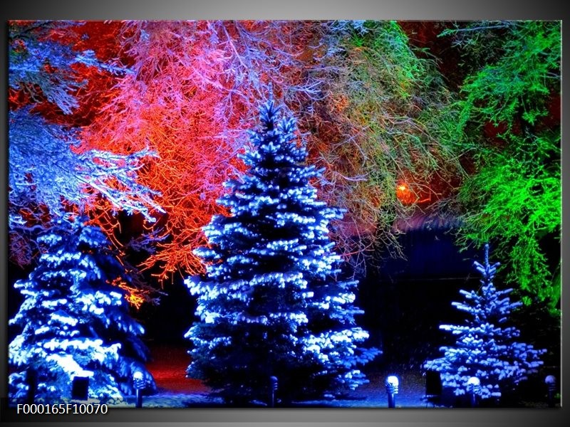 Foto canvas schilderij Kerstboom | Blauw, Groen, Rood