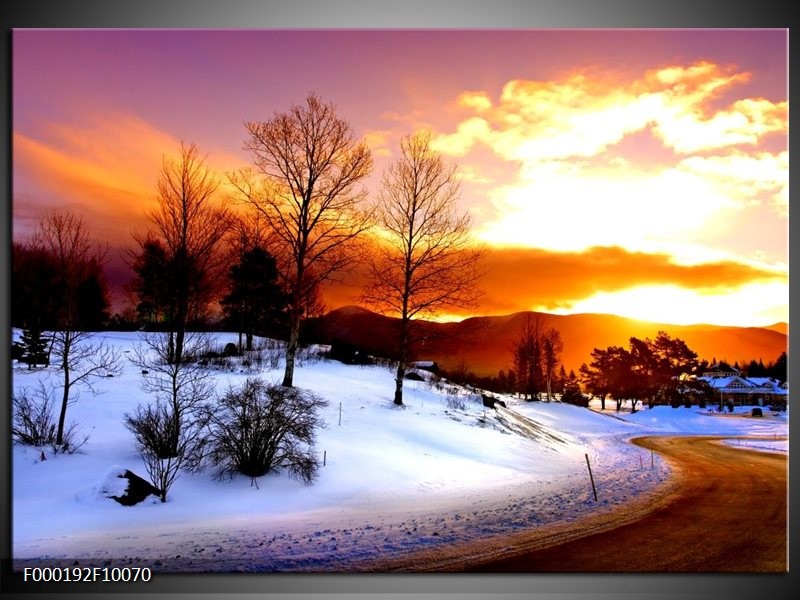 Foto canvas schilderij Winter | Wit, Oranje, Bruin