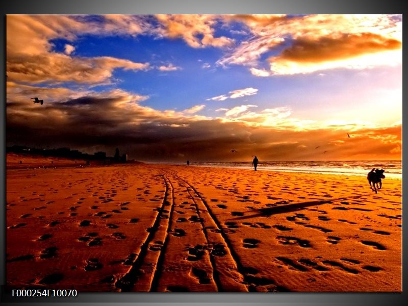 Foto canvas schilderij Strand | Blauw, Bruin, Wit