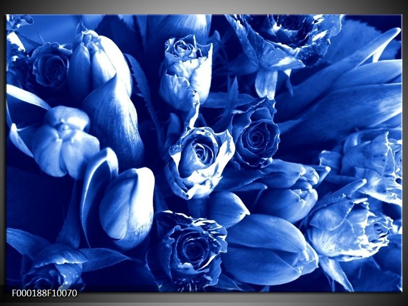 Glas schilderij Bloemen | Blauw, Wit