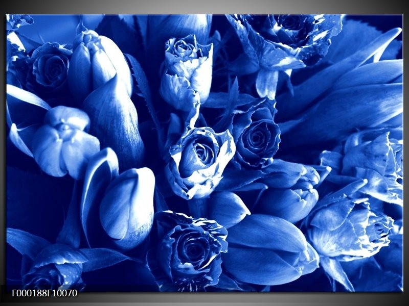 Glas schilderij Bloemen | Blauw, Wit | GroepArt