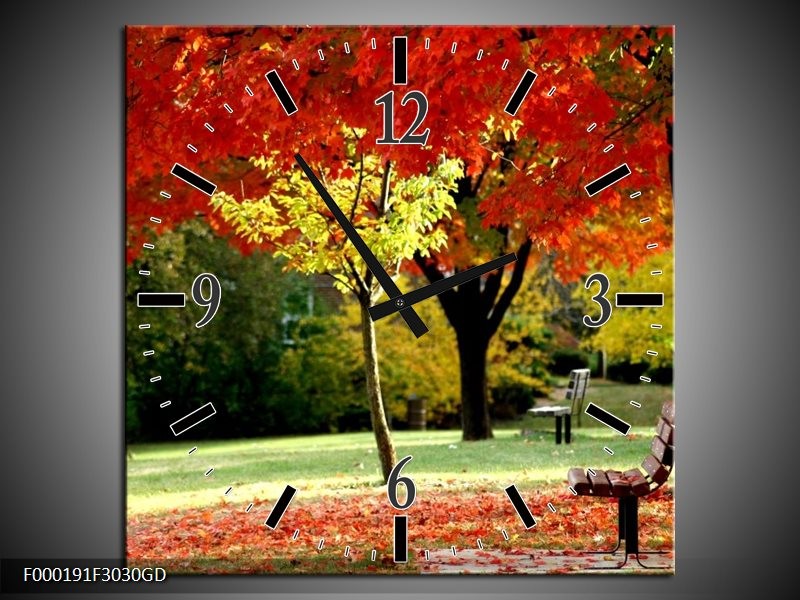 Wandklok op Glas Park | Kleur: Rood, Geel, Groen | F000191CGD