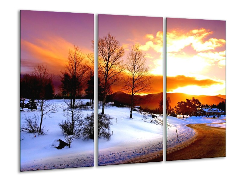 Canvas schilderij Winter | Wit, Oranje, Bruin | 120x80cm 3Luik