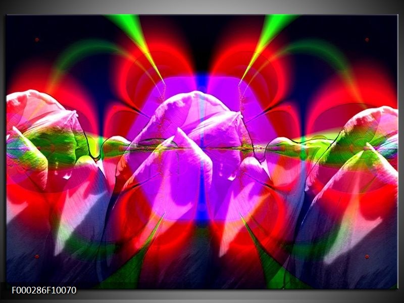 Glas schilderij Bloemen | Rood, Paars, Groen