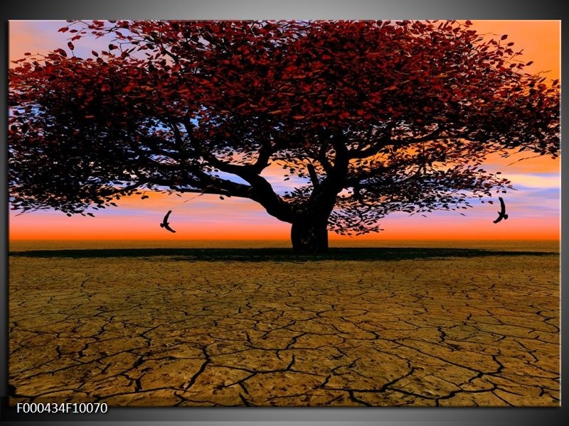 Foto canvas schilderij Boom | Bruin, Oranje, Zwart