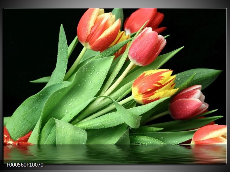 Foto canvas schilderij Tulpen | Rood, Geel, Groen