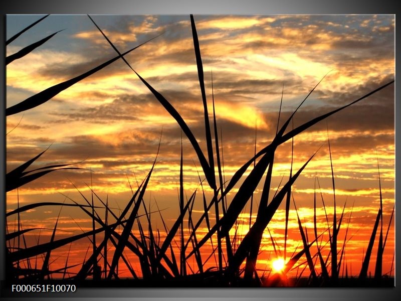 Foto canvas schilderij Zonsondergang | Zwart, Grijs, Geel