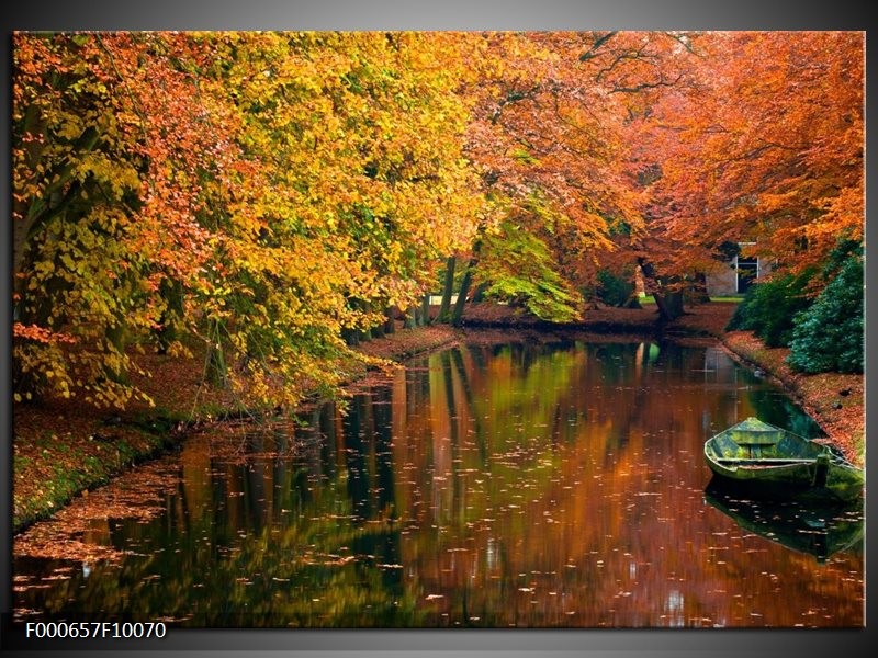 Foto canvas schilderij Herfst | Geel, Oranje, Groen