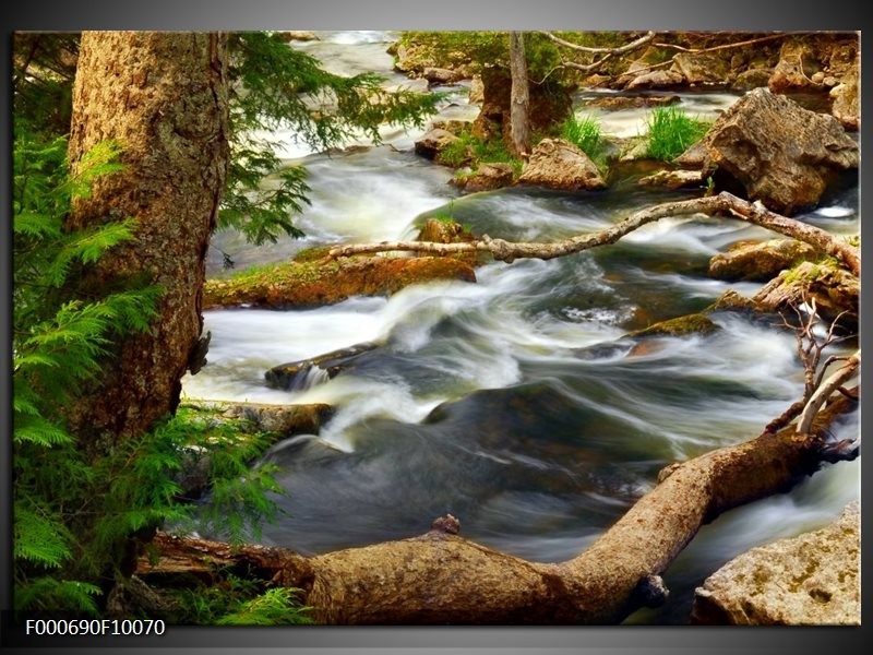 Foto canvas schilderij Natuur | Grijs, Bruin, Groen