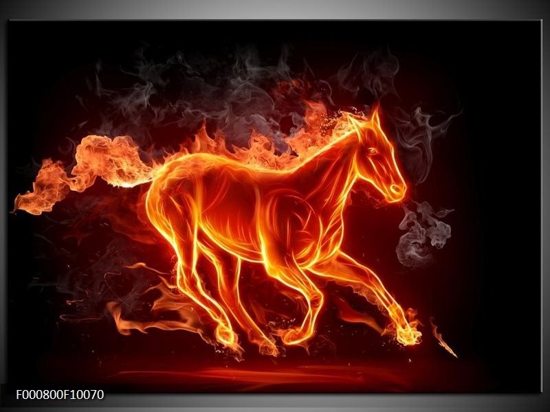 Foto canvas schilderij Paarden | Rood, Oranje, Zwart