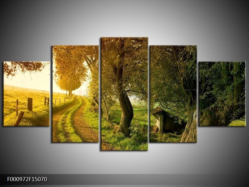 OP VOORRAAD Foto canvas schilderij Bomen | 150x70cm | F000972