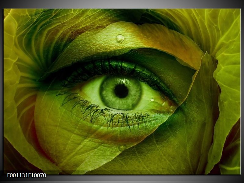 Foto canvas schilderij Oog | Groen, Bruin