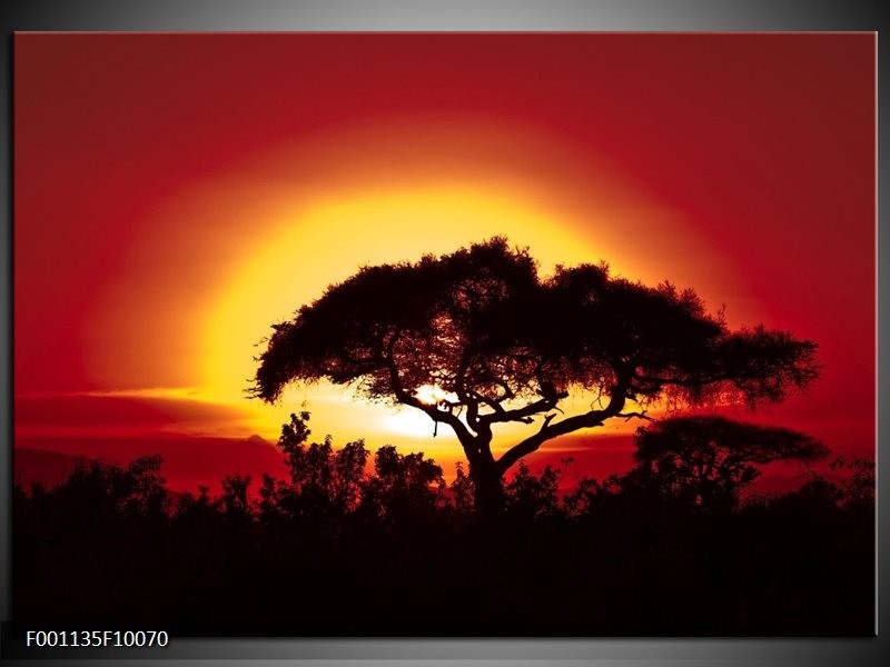 Foto canvas schilderij Zonsondergang | Zwart, Geel, Rood