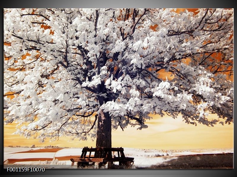 Foto canvas schilderij Boom | Wit, Geel, Zwart