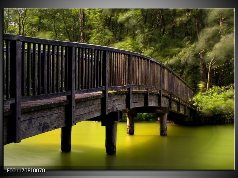 Foto canvas schilderij Brug | Groen, Grijs