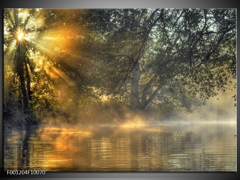 Glas schilderij Natuur | Grijs, Wit