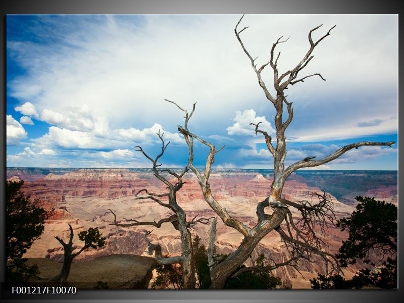 Foto canvas schilderij Natuur | Blauw, Wit