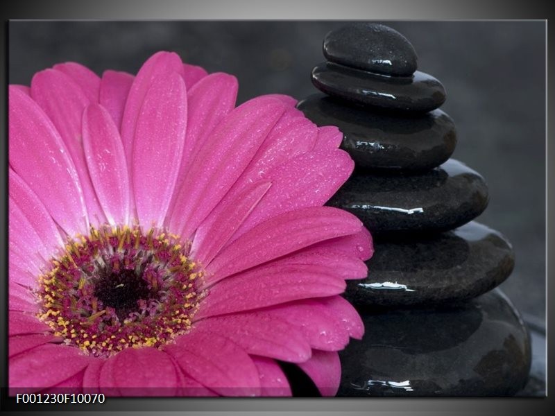 Foto canvas schilderij Bloem | Rood, Grijs, Zwart