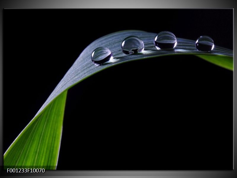 Foto canvas schilderij Druppels | Zwart, Groen, Grijs