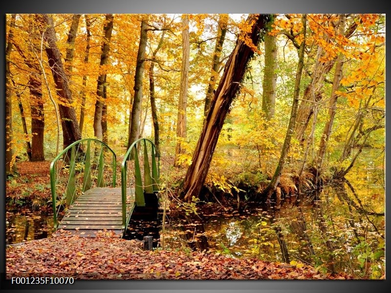 Foto canvas schilderij Natuur | Geel, Bruin, Groen