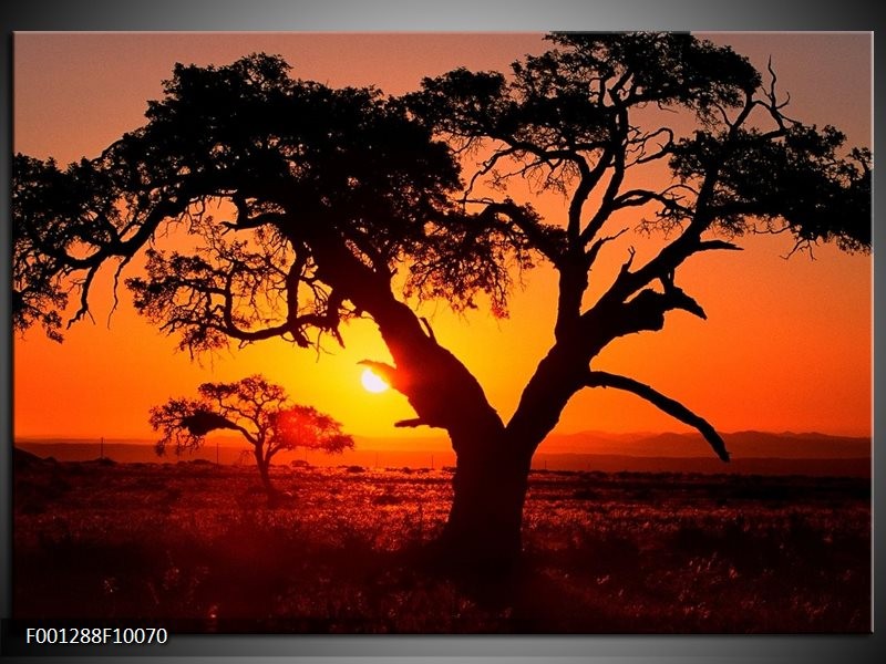 Foto canvas schilderij Zonsondergang | Zwart, Geel, Rood