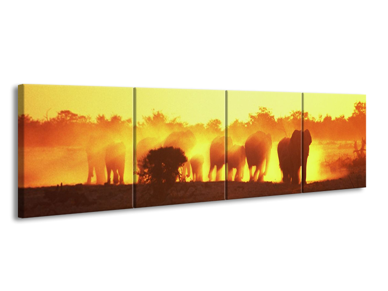 Glas schilderij Olifant | Geel, Oranje, Bruin | 160x40cm 4Luik