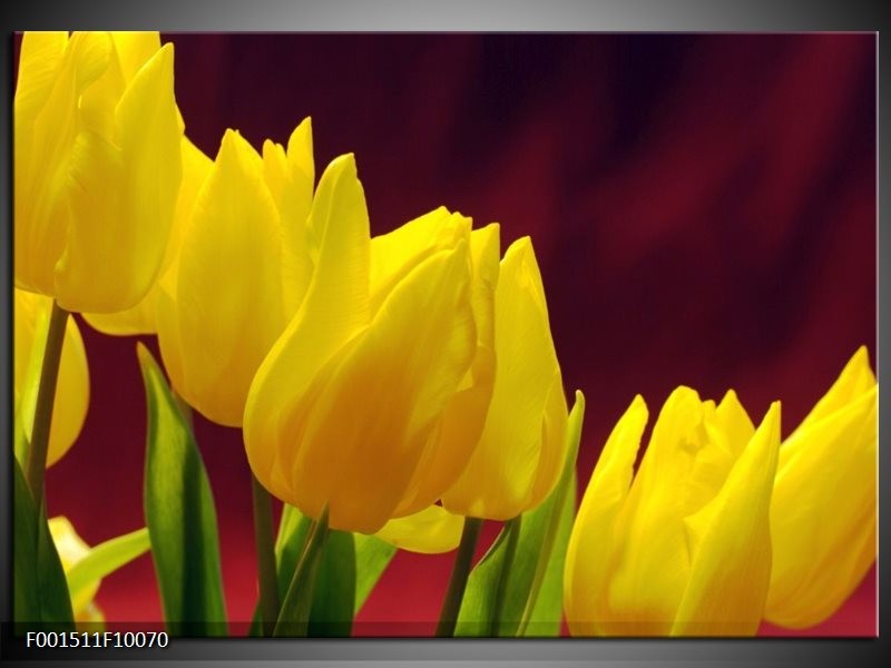 Foto canvas schilderij Tulpen | Geel, Bruin, Groen