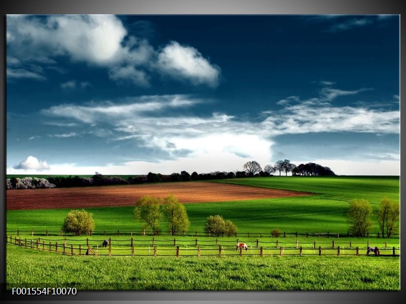 Glas schilderij Natuur | Groen, Bruin, Blauw