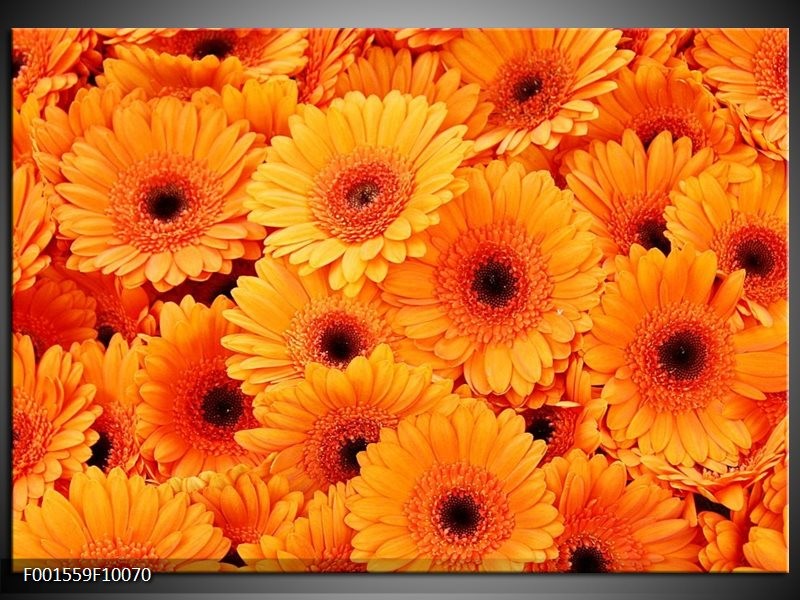 Glas schilderij Bloemen | Oranje, Zwart