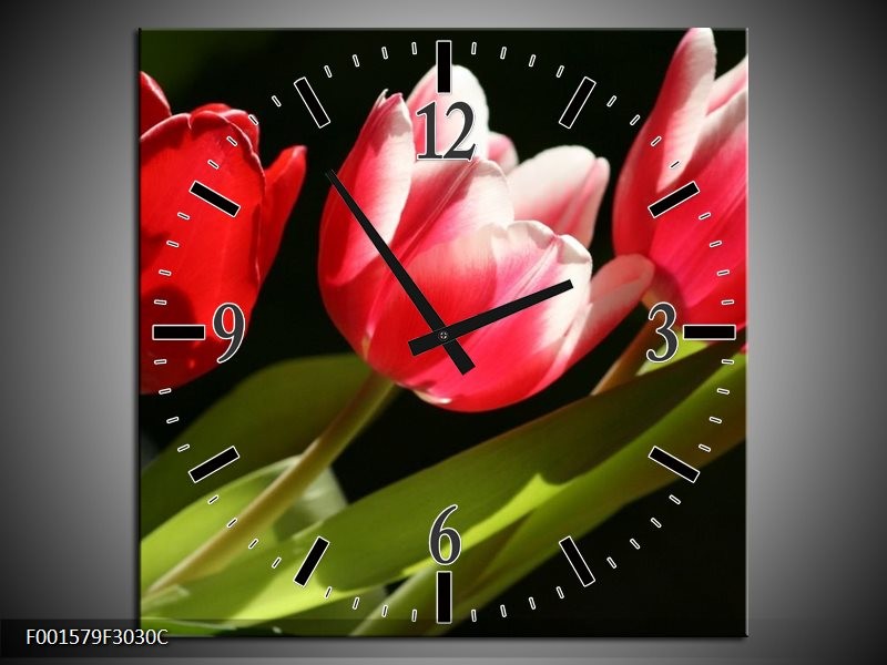 Wandklok op Canvas Tulpen | Kleur: Rood, Wit, Groen | F001579C