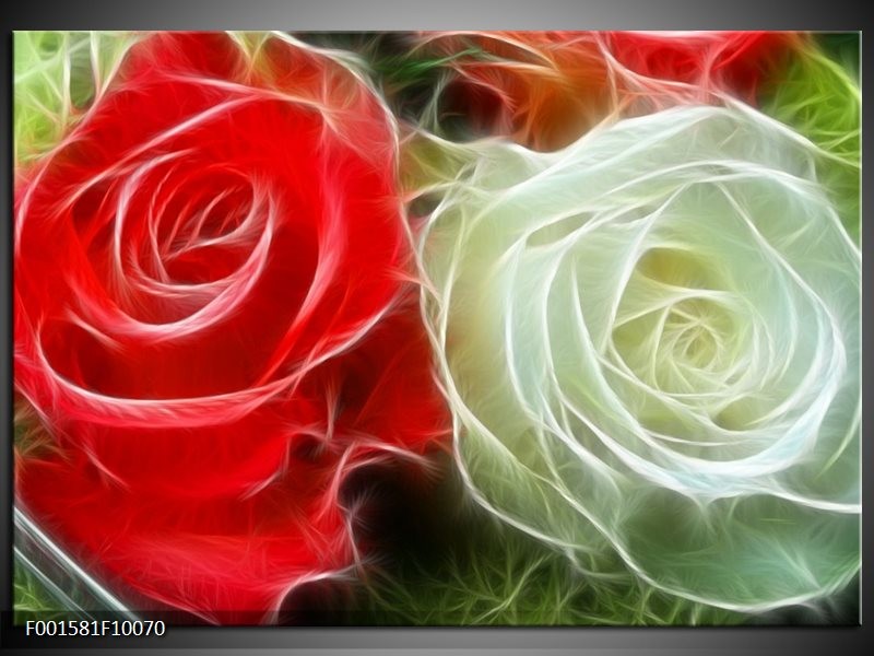 Foto canvas schilderij Roos | Wit, Rood,