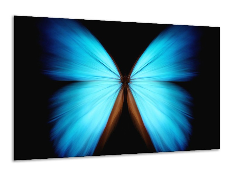 Canvas schilderij Vlinder | Blauw, Zwart | 120x70cm 1Luik