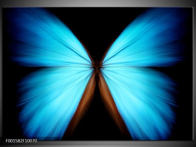 Glas schilderij Vlinder | Blauw, Zwart