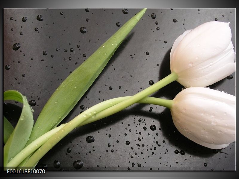 Glas schilderij Tulpen | Wit, Groen, Grijs