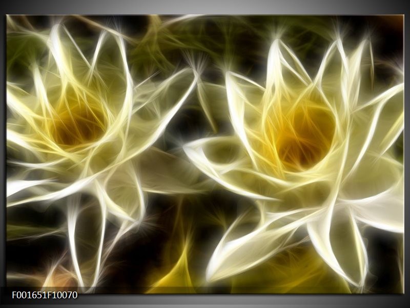 Glas schilderij Bloem | Geel, Wit, Zwart