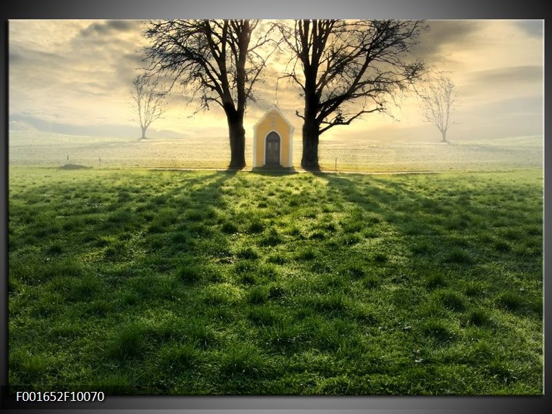 Foto canvas schilderij Natuur | Groen, Wit, Zwart