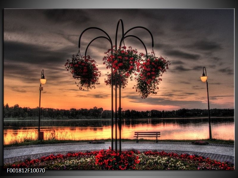 Foto canvas schilderij Bloemen | Rood, Zwart, Geel