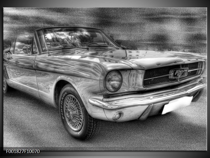 Foto canvas schilderij Mustang | Zwart, Wit, Grijs