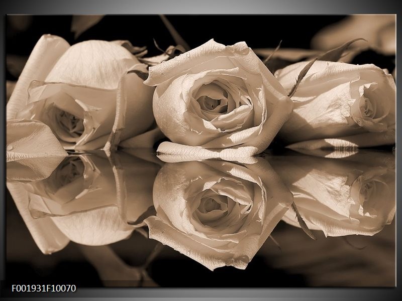 Glas schilderij Roos | Sepia, Bruin